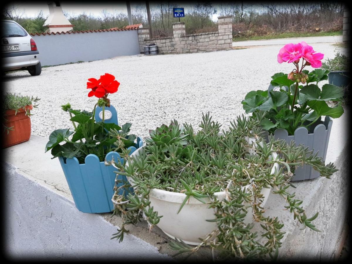 Dora * Porec